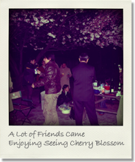 A Lot of Friends Came Enjoying Seeing Cherry Blossom